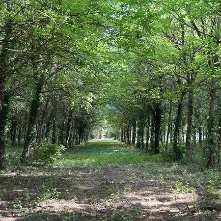 Maison Familiale En Pleine Nature Avec Privée Sur La Ceze Hébergement de vacances Potelières