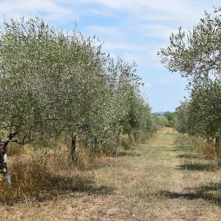 Hébergement de vacances Maison Familiale En Pleine Nature Avec Privée Sur La Ceze Potelières